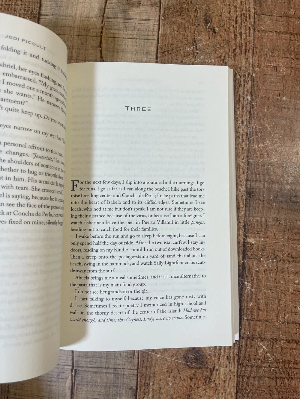 Contemporary Literary Fiction Lit Fic Book Bundle Book Club Romance Family